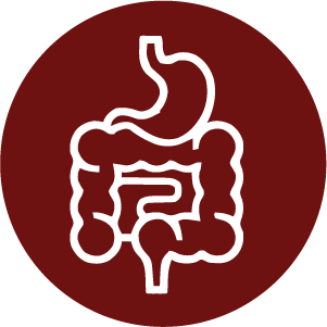 1744781687_Icon 17.png